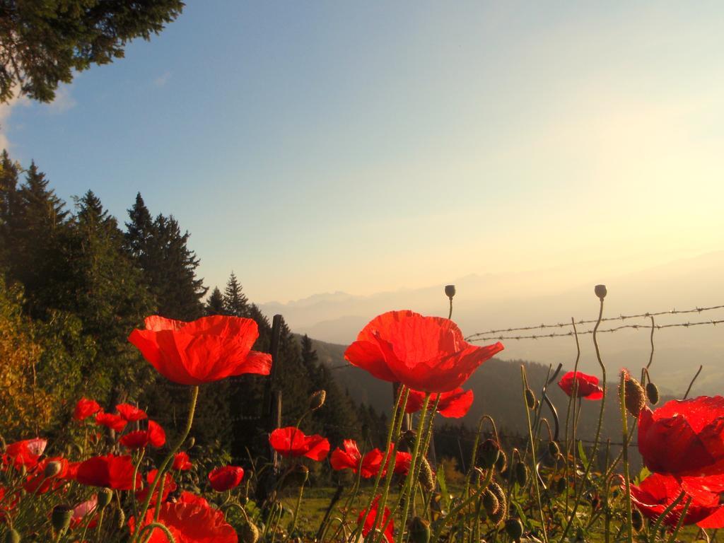 Hotel Garni Gaestehaus Karin Sankt Stefan im Lavanttal Zewnętrze zdjęcie