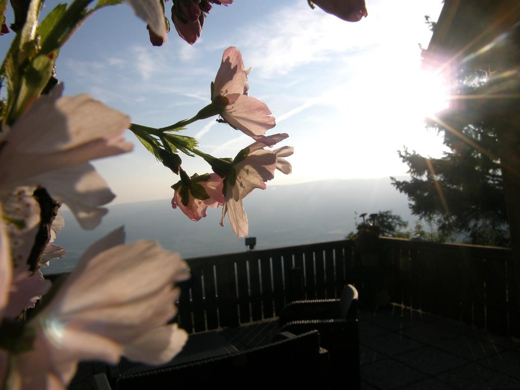 Hotel Garni Gaestehaus Karin Sankt Stefan im Lavanttal Zewnętrze zdjęcie