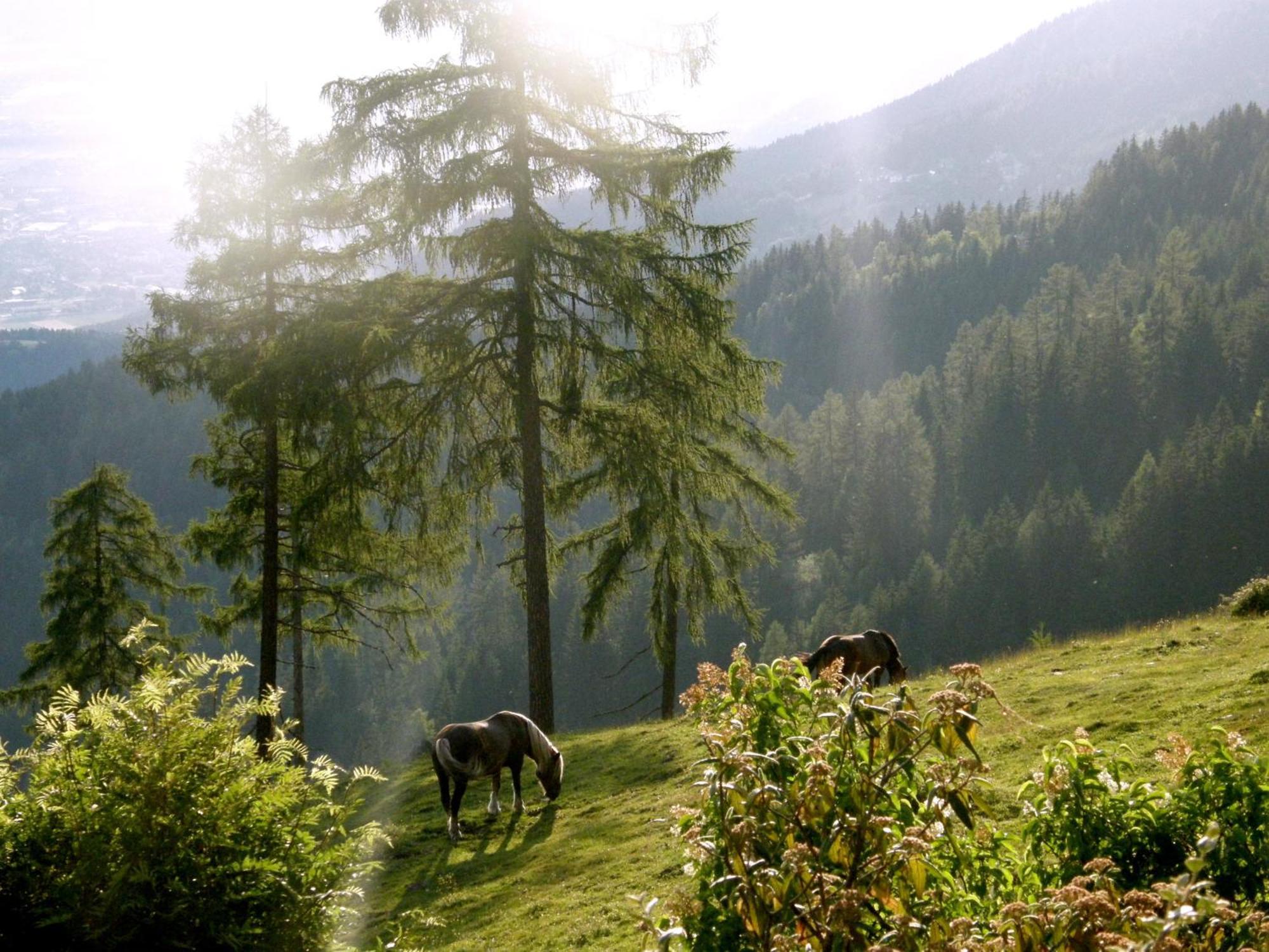 Hotel Garni Gaestehaus Karin Sankt Stefan im Lavanttal Zewnętrze zdjęcie