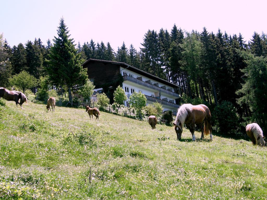 Hotel Garni Gaestehaus Karin Sankt Stefan im Lavanttal Zewnętrze zdjęcie
